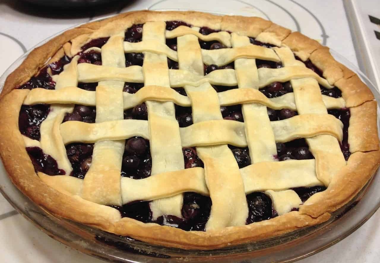 Is it safe to give blueberry pie to Dogs?